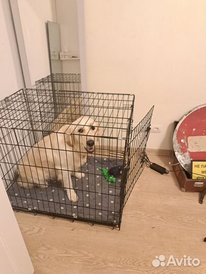 Вольер для собак