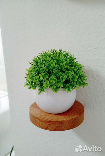 Парящая полка набор 3шт с кашпо