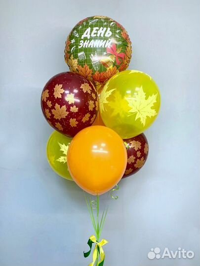 Гелевые шары с доставкой / гендер пати / в школу