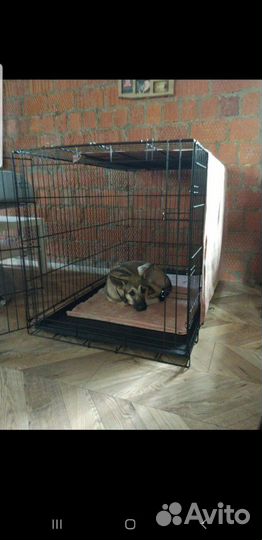 Клетка в аренду