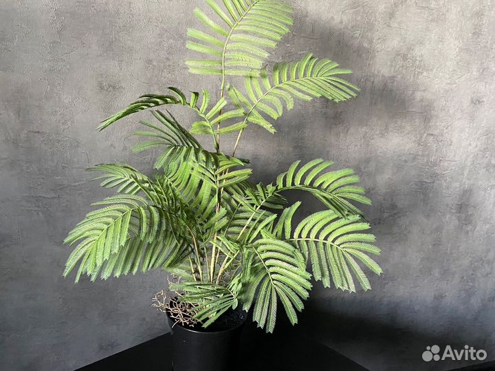 Искусственные деревья и цветы