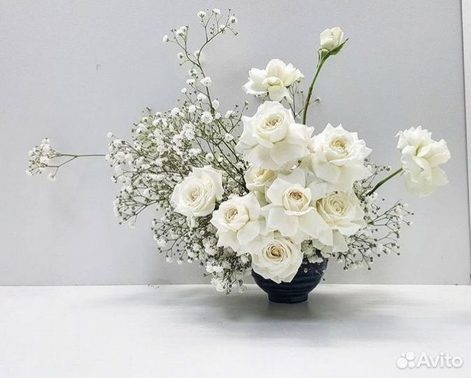 Гипсофила искусственная