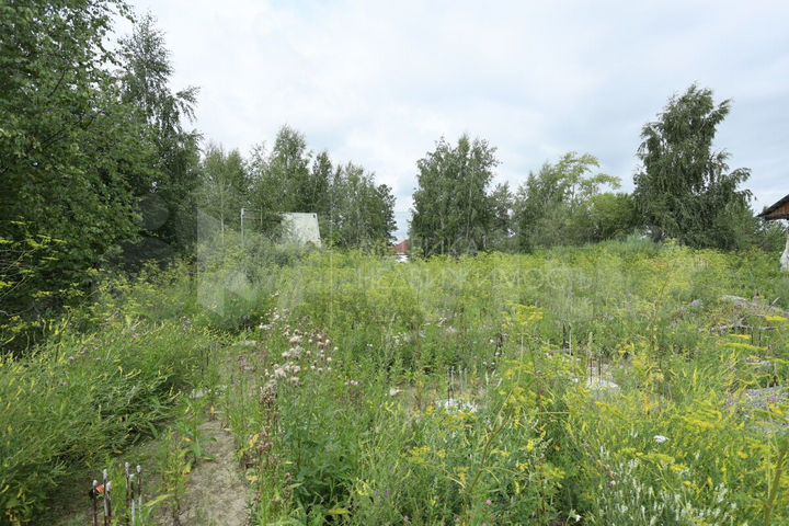 Участок 12,5 сот. (СНТ, ДНП)