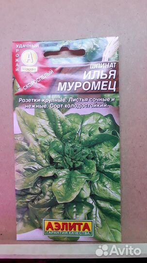 Семена зелени