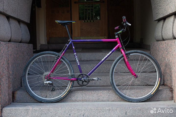 Minerva old mtb