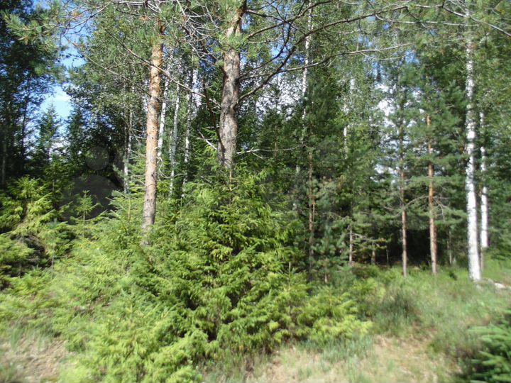 Участок 20 сот. (СНТ, ДНП)