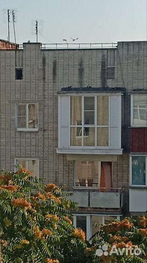 Окна и балконы