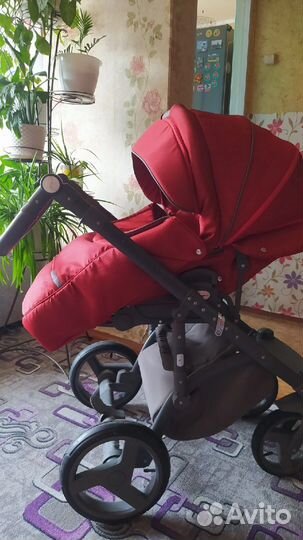 Коляска 2 в 1 adamex