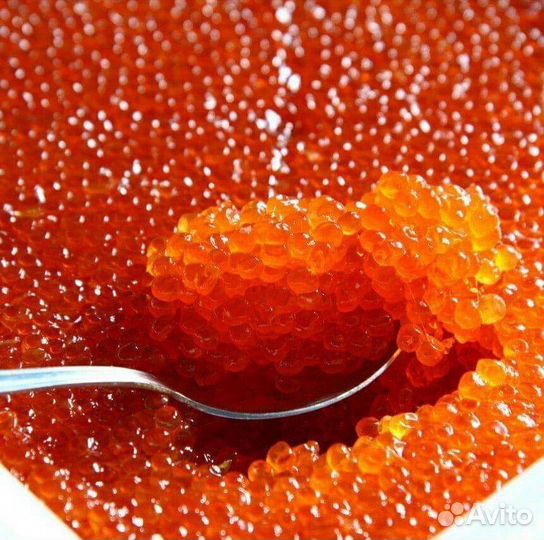 Икра Красная, камчатка