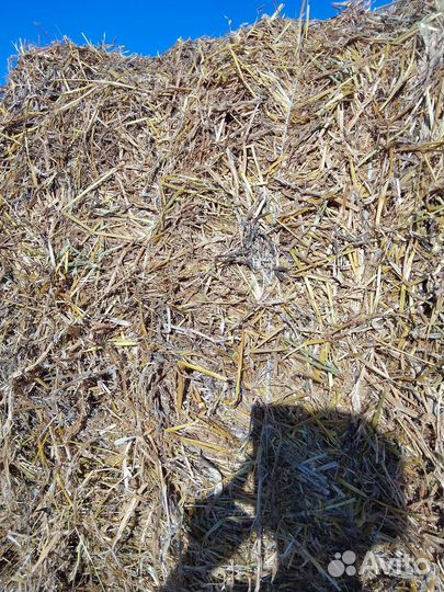 Сено в рулонах 2023