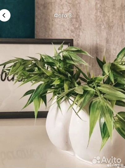 Силиконовая форма кашпо органайзер Корень Адама