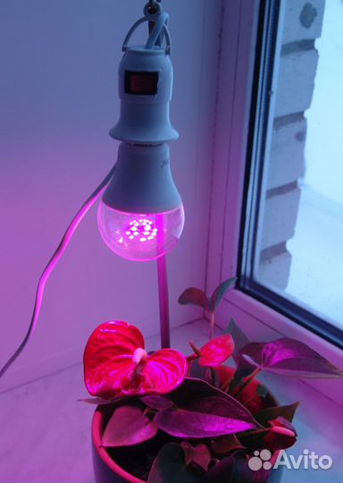 Патрон для фитолампы