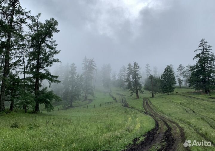 Фотокартина А2 