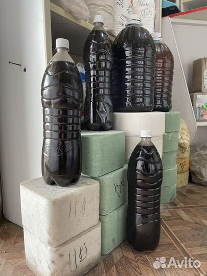 Фуза подсолнечная