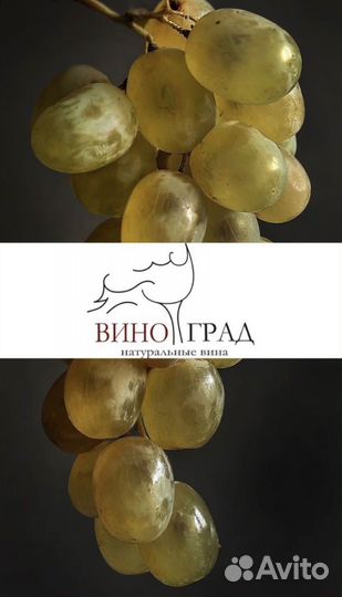 Дизайнер, разработка логотипа, фирменный стиль