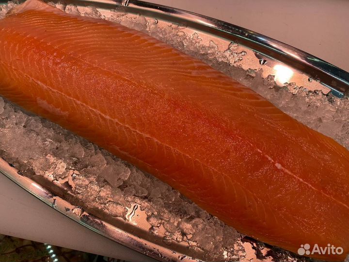 Лосось филе слабосолённый. Оптом