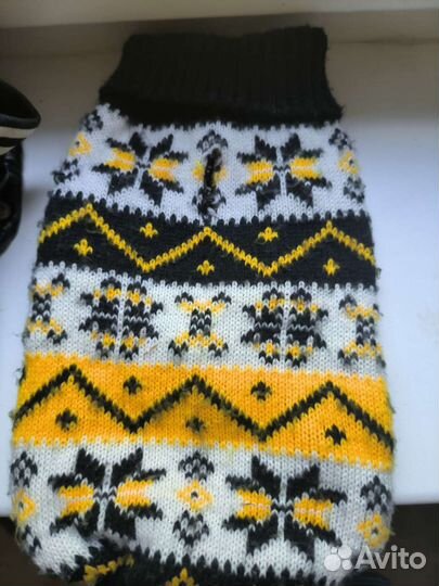 Одежда для собак