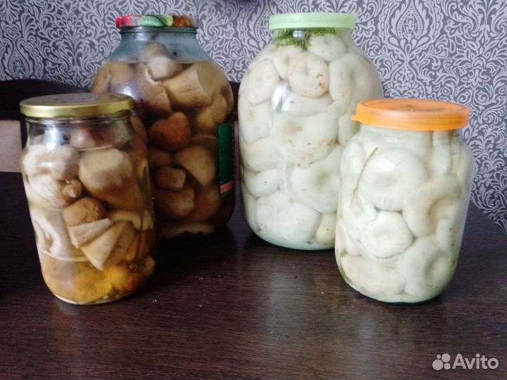 Грибы в наличии