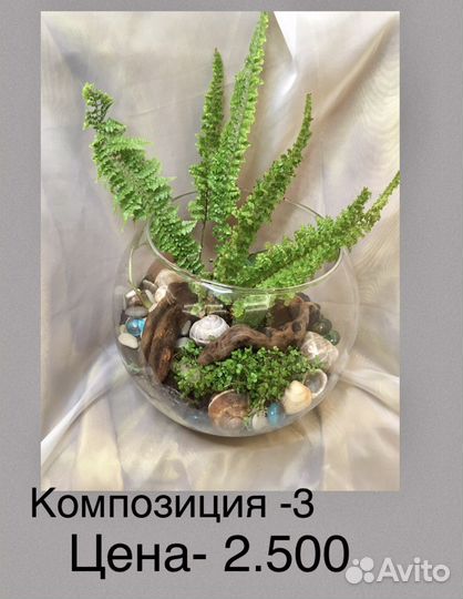 Композиции из комнатных растений
