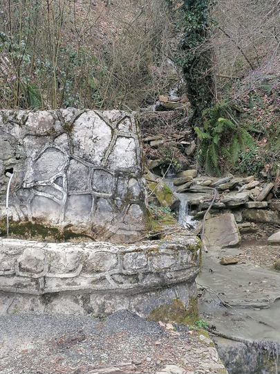 Участок 20 сот. (СНТ, ДНП)