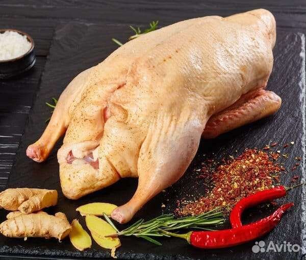 Мясо домашней птицы