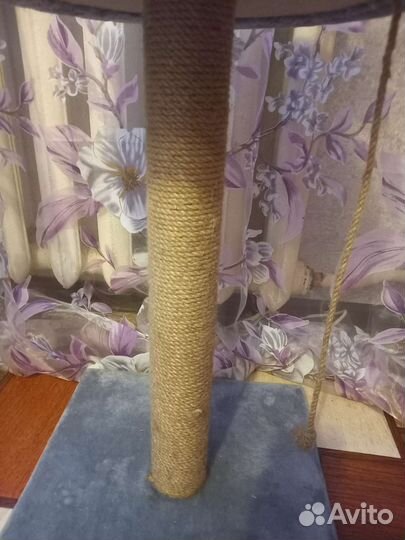 Когтеточка для кошек бу