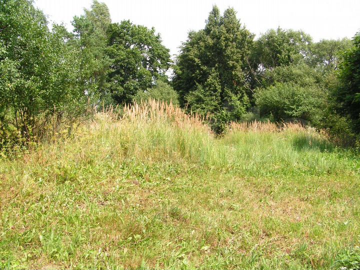 Участок 14 сот. (ИЖС)