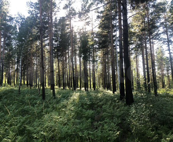 Участок 7 сот. (ИЖС)