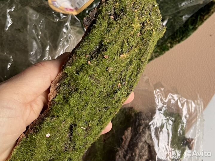 Мох пакетом