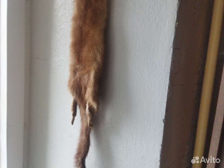 Чулок норки