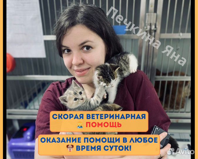 Ветеринар, Ветеринарный врач на дом