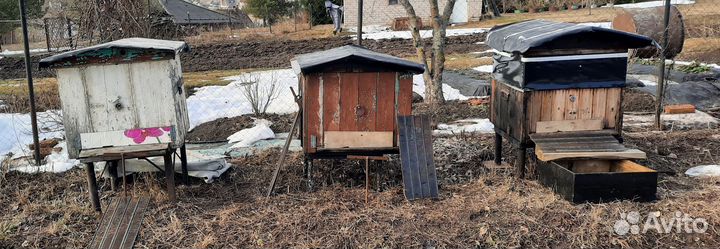 Ульи для пчел