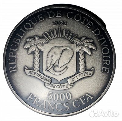 Большая пятерка Африки