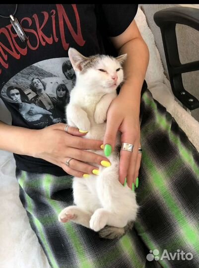 Плюша ищет семью