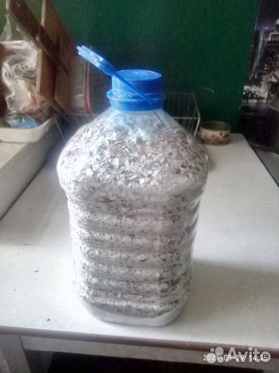 Яичная скорлупа