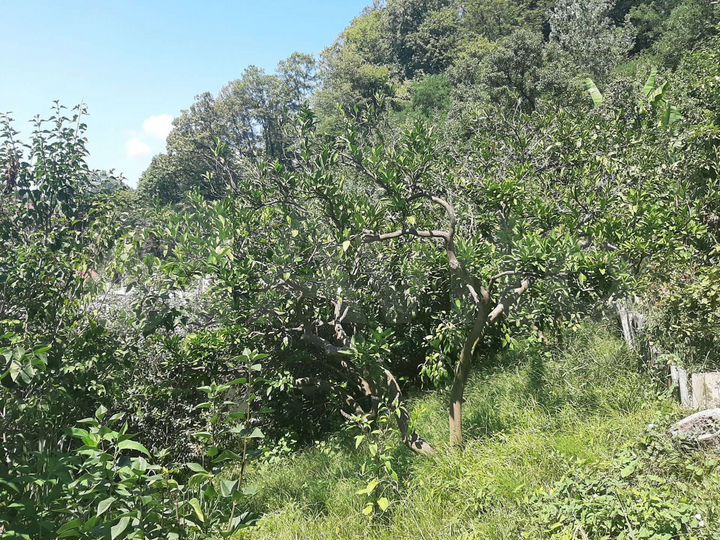 Участок 2,3 сот. (ИЖС)