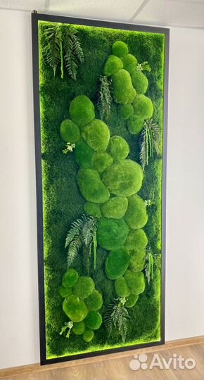 Мох. Декор. Искусственное озеленение. Ягель