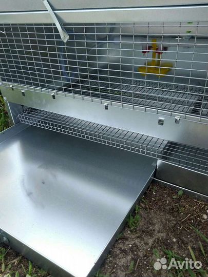 Брудер для цыплят