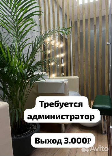 Администратор студии маникюра