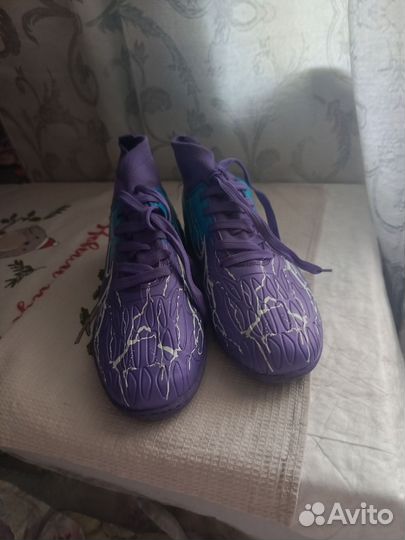 Сороконожка