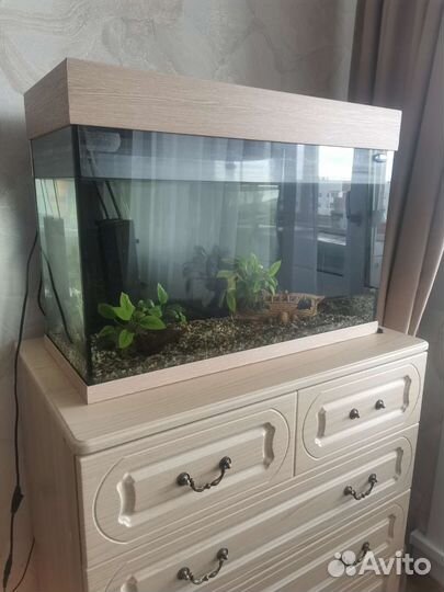 Аквариум