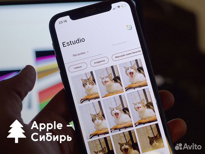 Apple - Сибирь: Яблоки и технологический успех