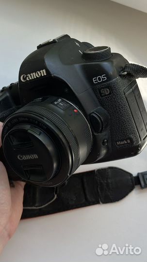 Canon 5D mark ii