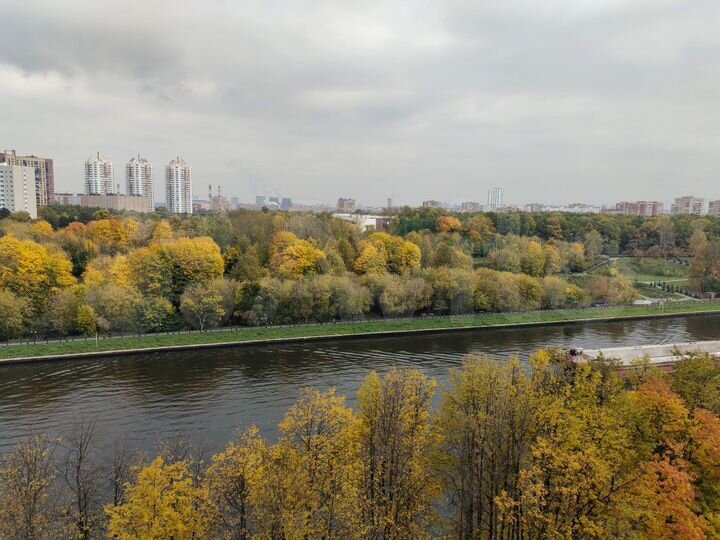 1-к. квартира, 55 м², 14/17 эт.