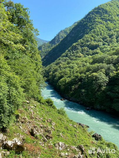 Тур в Абхазию из Адлера / Гагра / Озеро Рица