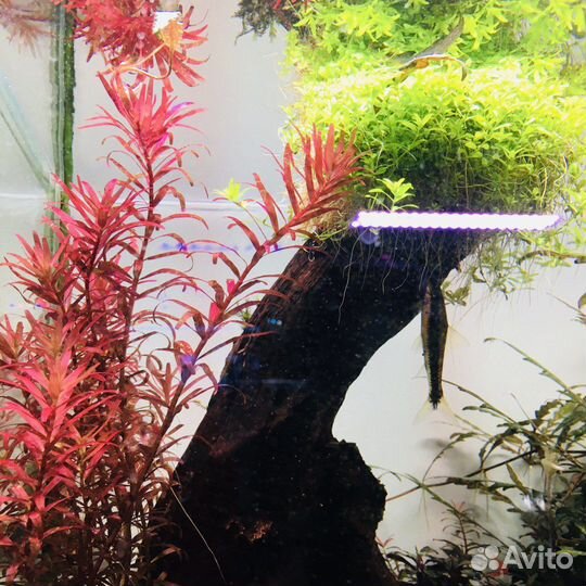 Декорации для аквариума