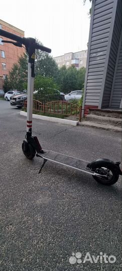 Электро самокат tribe