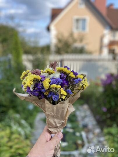 Букет цветов, сухоцветы