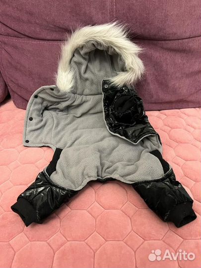 Одежда для собак