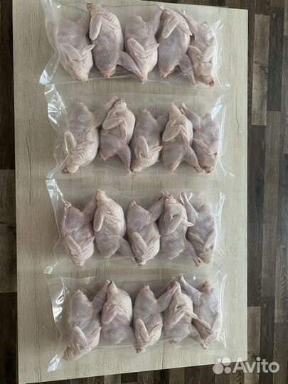 Перепелки тушки